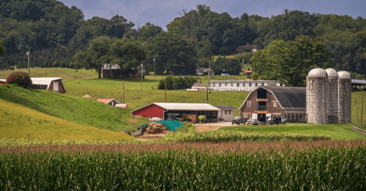 National Rural Health Day – “Rural Rising”