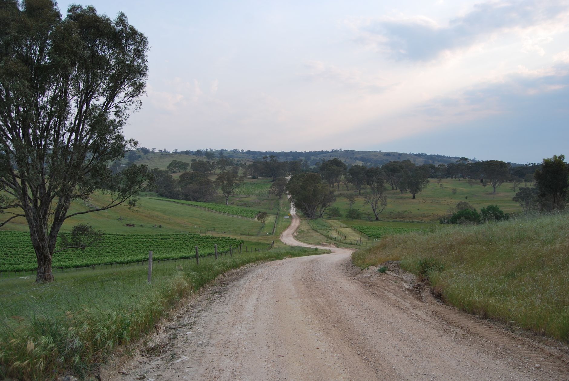 Choosing Sites, Routes, and Schedules